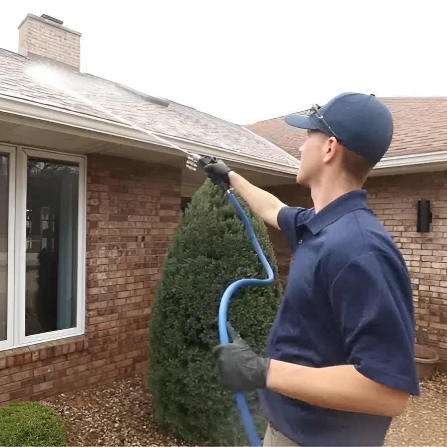roof cleaning